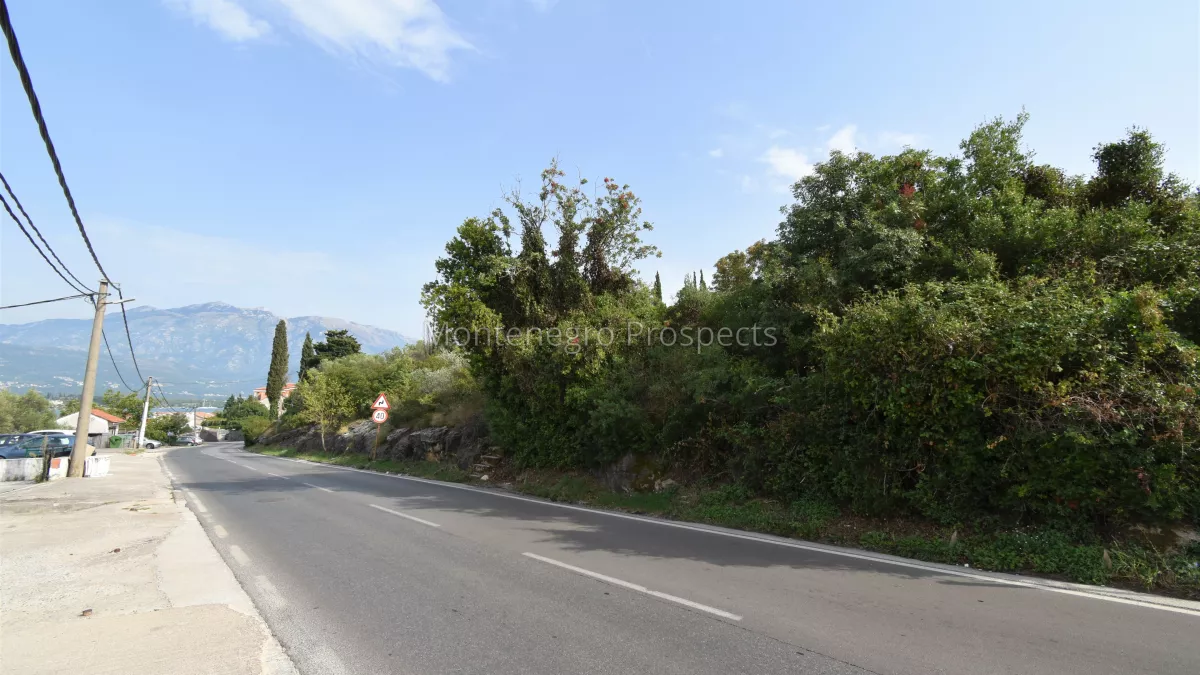 Plot.for .sale .bogisici
