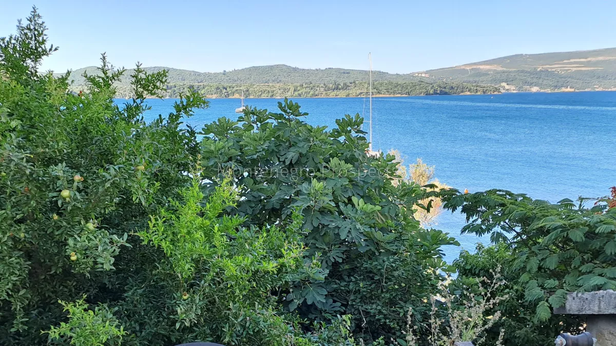 Plot for sale 13620 1