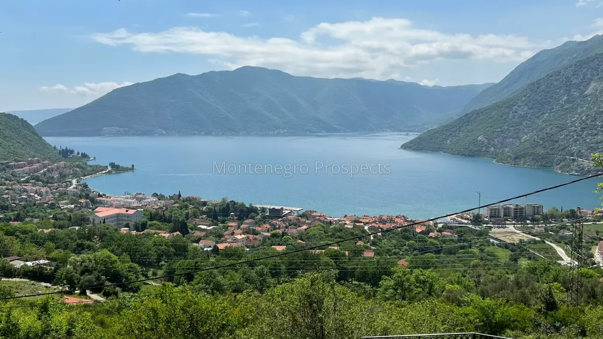 14072 risan plot with perfect views 2