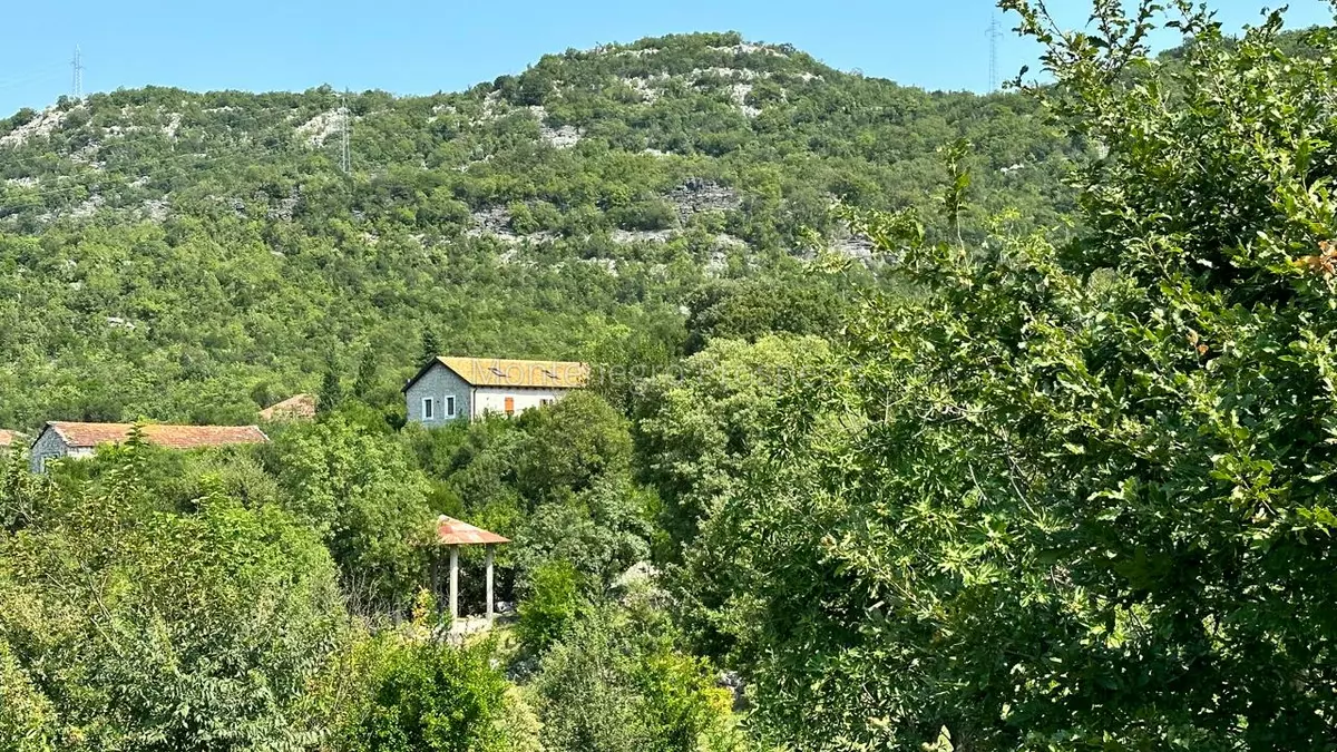 14160 large estate near the lake skadar 129
