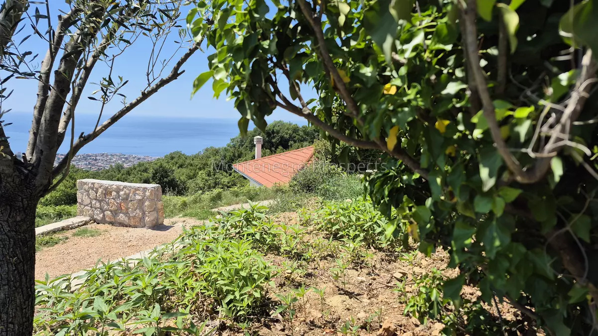 14165 plac sa pogledom na more 9