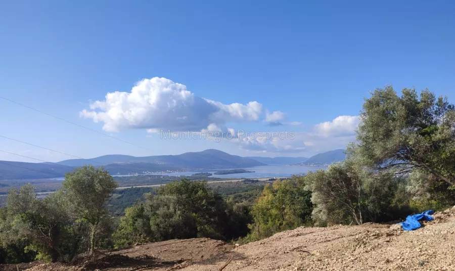 Plot in kavac 3