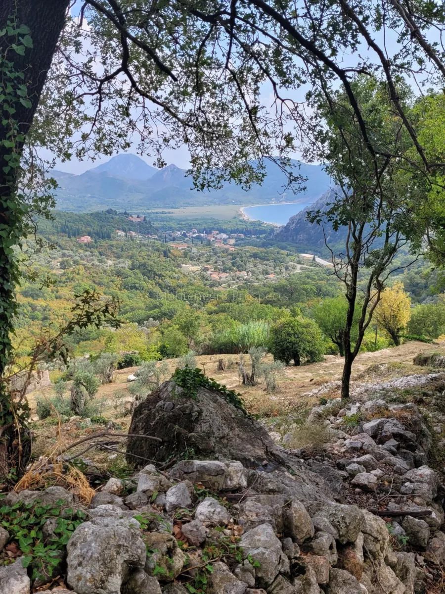 Selo 17118 12