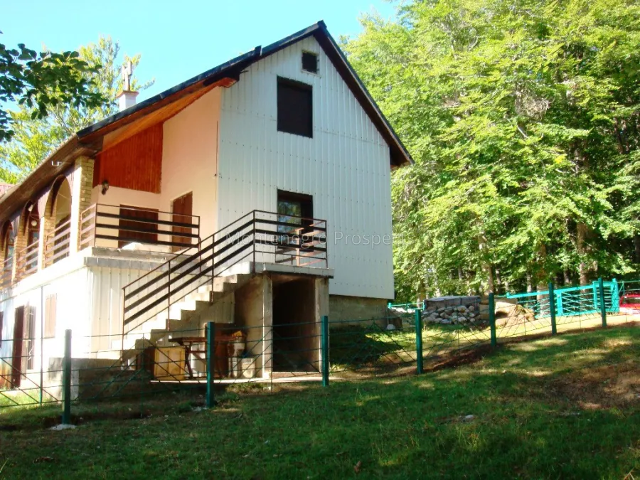 Zabjak prodaja kuce 14098 1