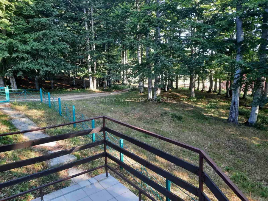 Zabjak prodaja kuce 14098 10