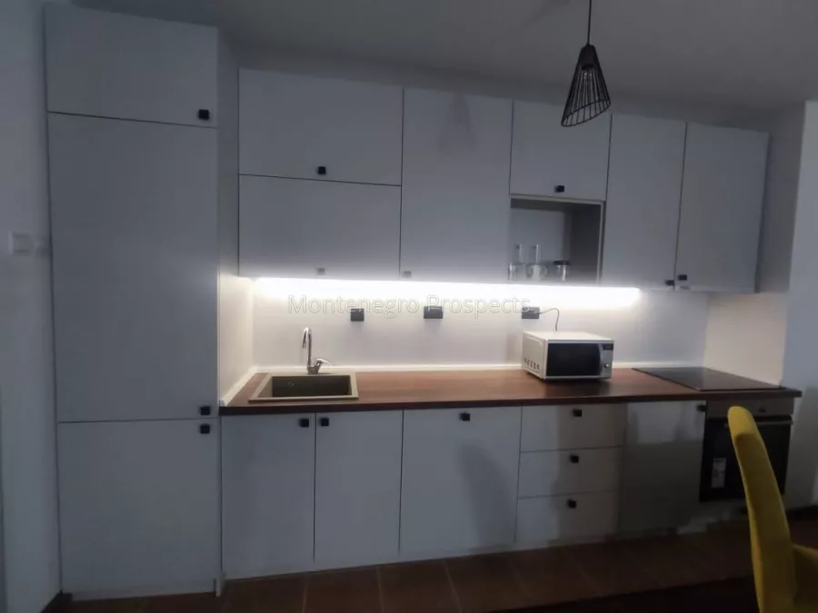 Prostornaja kvartira v komplekse s basejnom petrovac 12573 20 1067x800