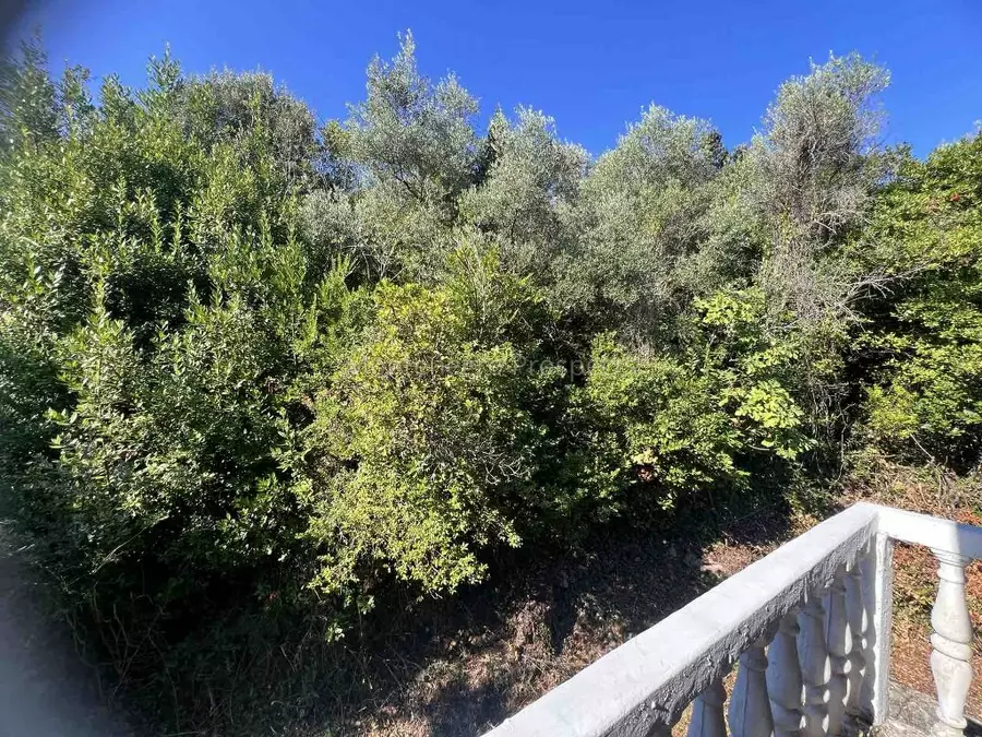 Two level house for sale surrounded by greenery in krasici lustica 13759 9