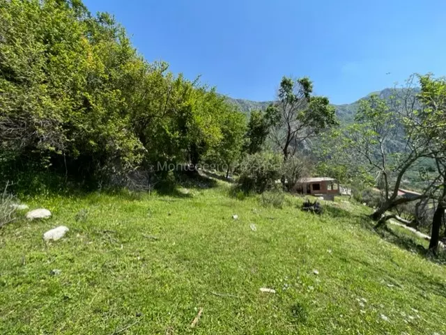 14072 risan plot with perfect views 10
