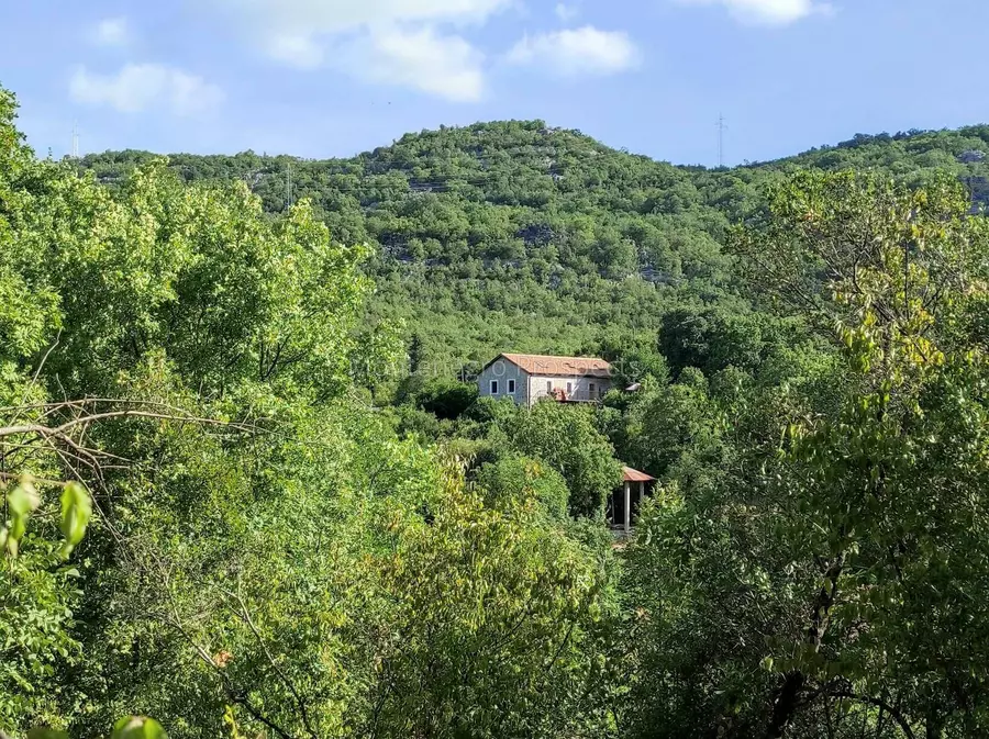 14160 large estate near the lake skadar 62