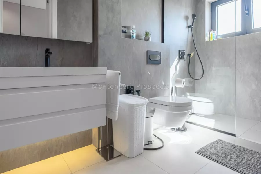 Modern luxury villa with a pool kavac 13810 4