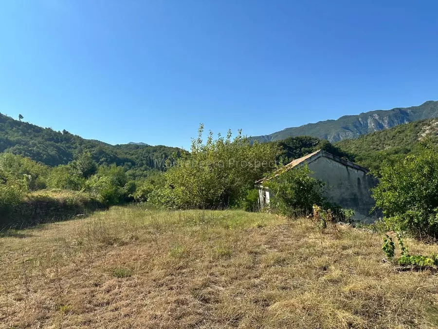 14170 boljevici kuca sa imanjem 2