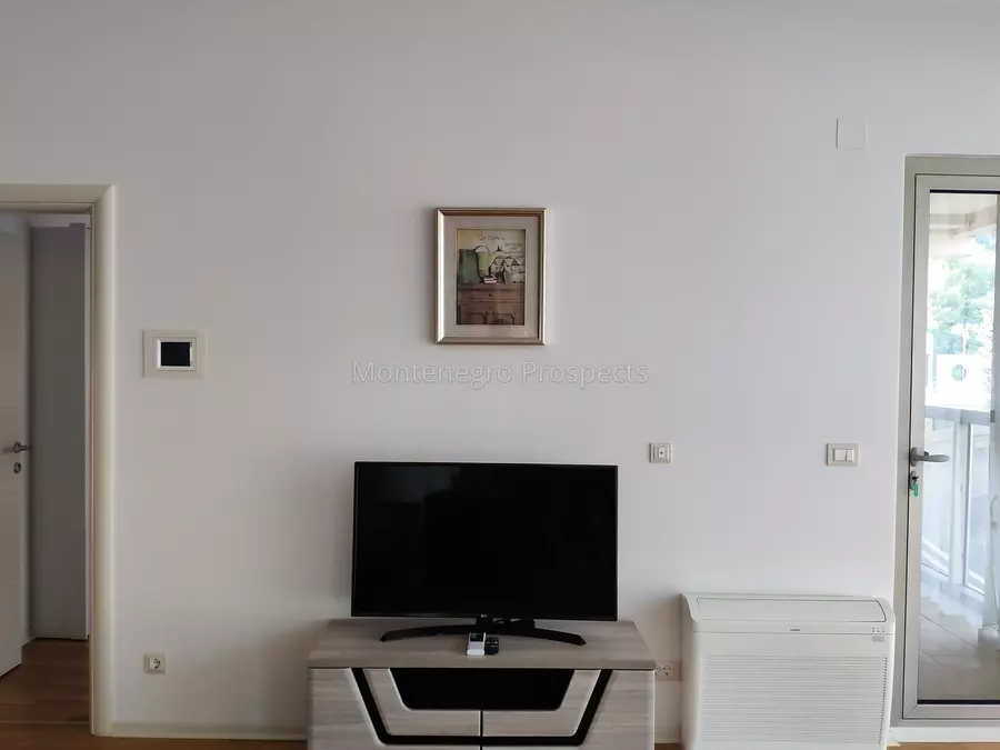 12135 apartment for sale in harmonia budva 10