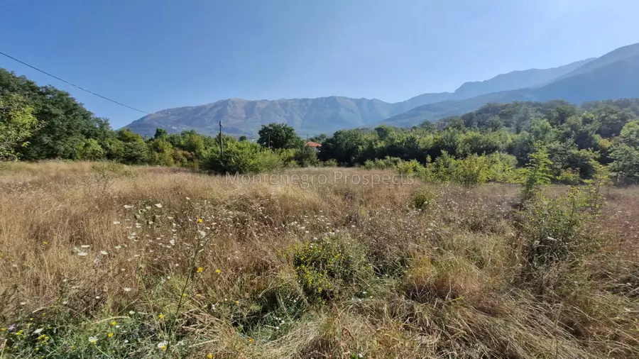 Land for sale kotor radanovici 5