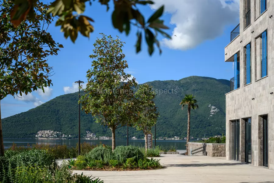 Movenpick teuta kotor bay   outdoor 4