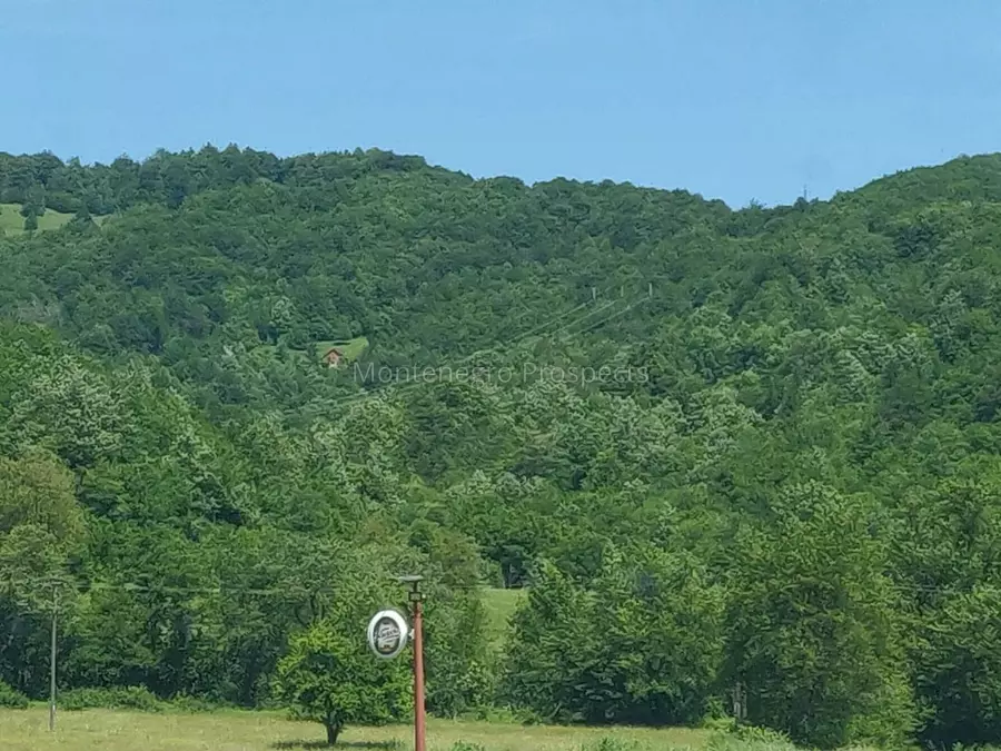 S16137 15