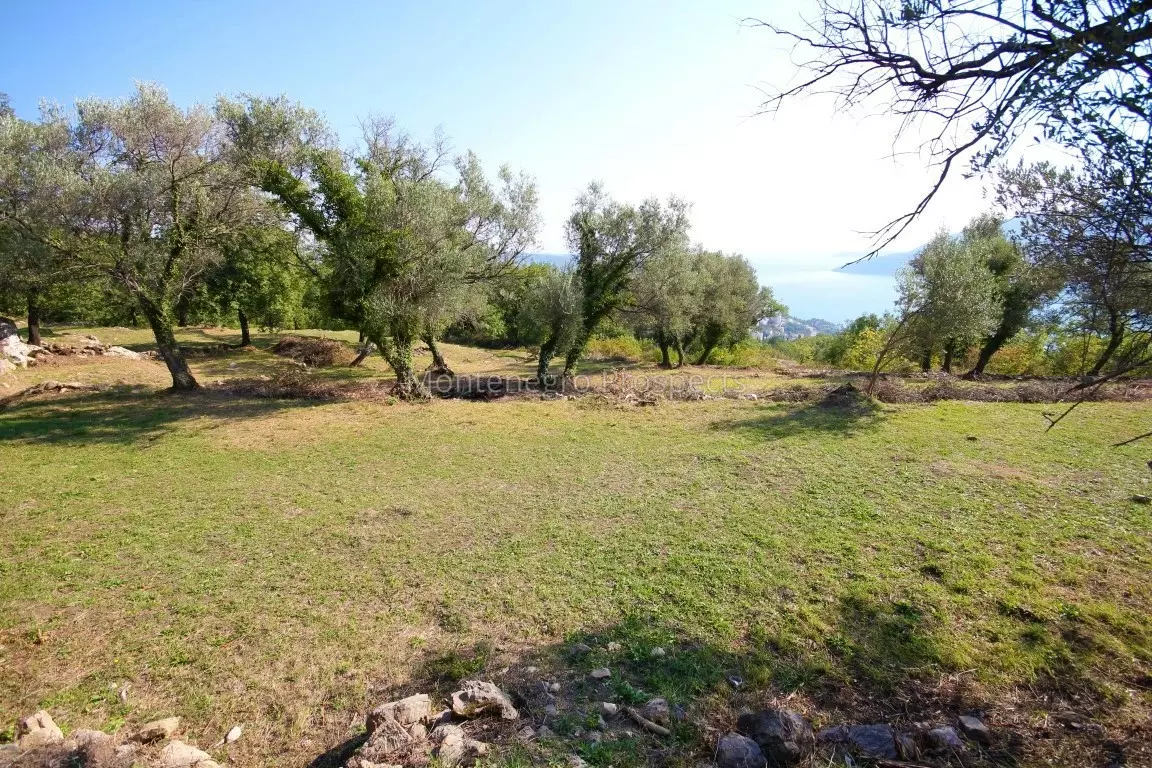 Fm0018 trebesin 1