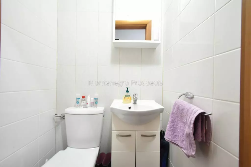 Kot 0879 1024x683