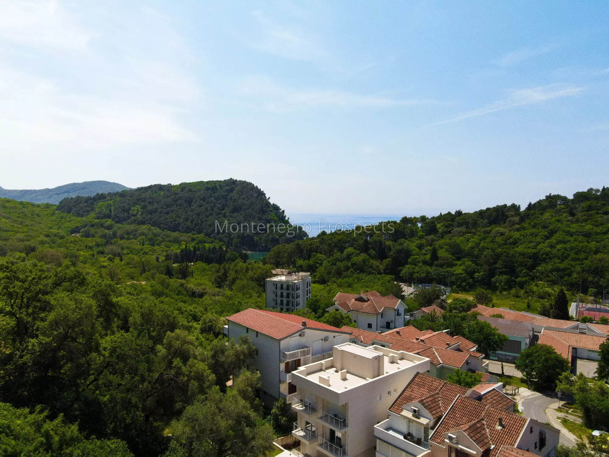 Petrovac   marko stojovic 12435 16 resized