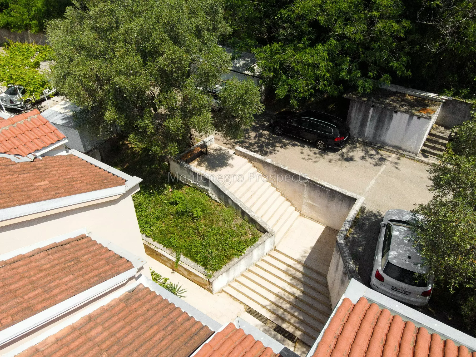 Petrovac   marko stojovic 12435 18 resized