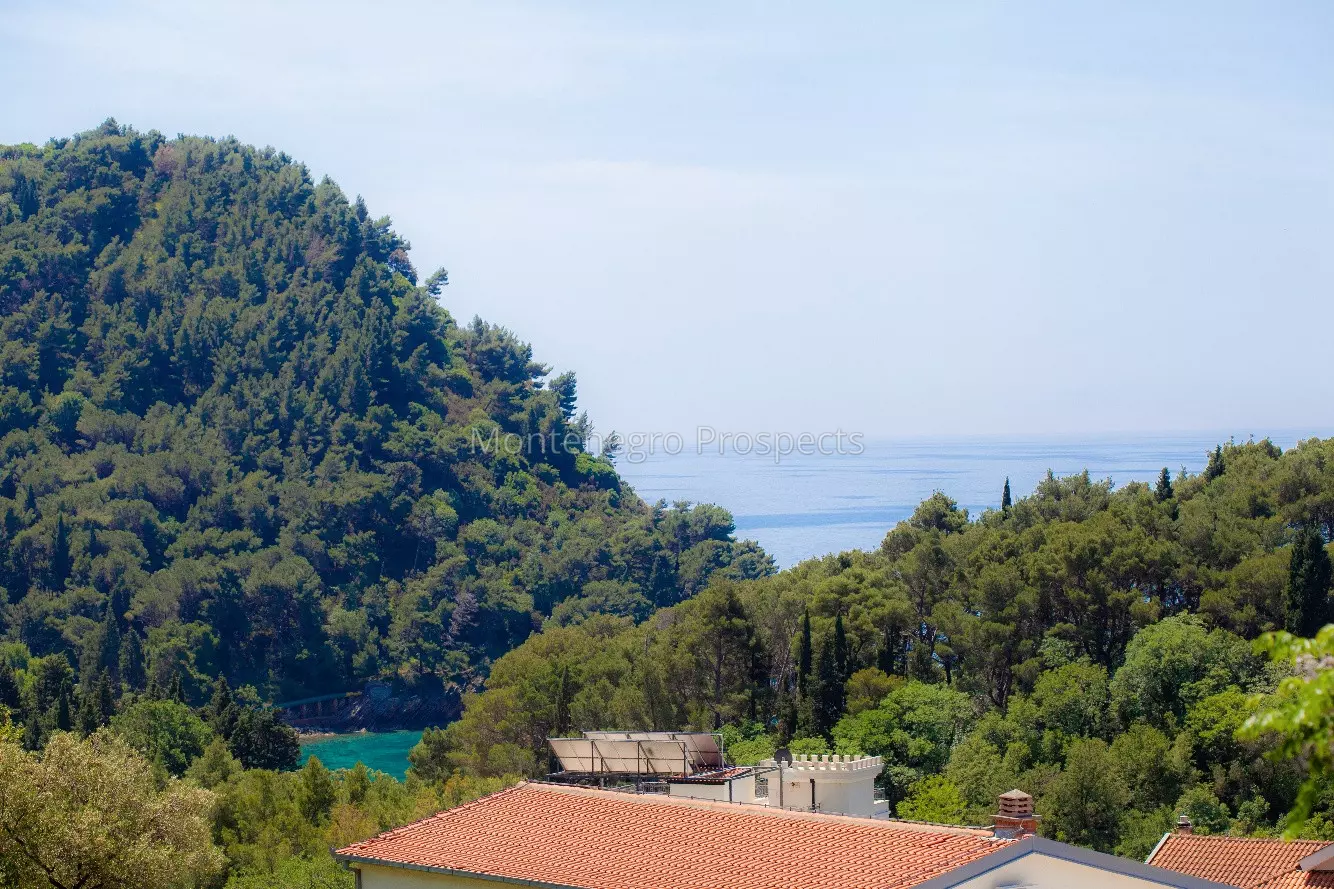 Petrovac   marko stojovic 12435 22 resized