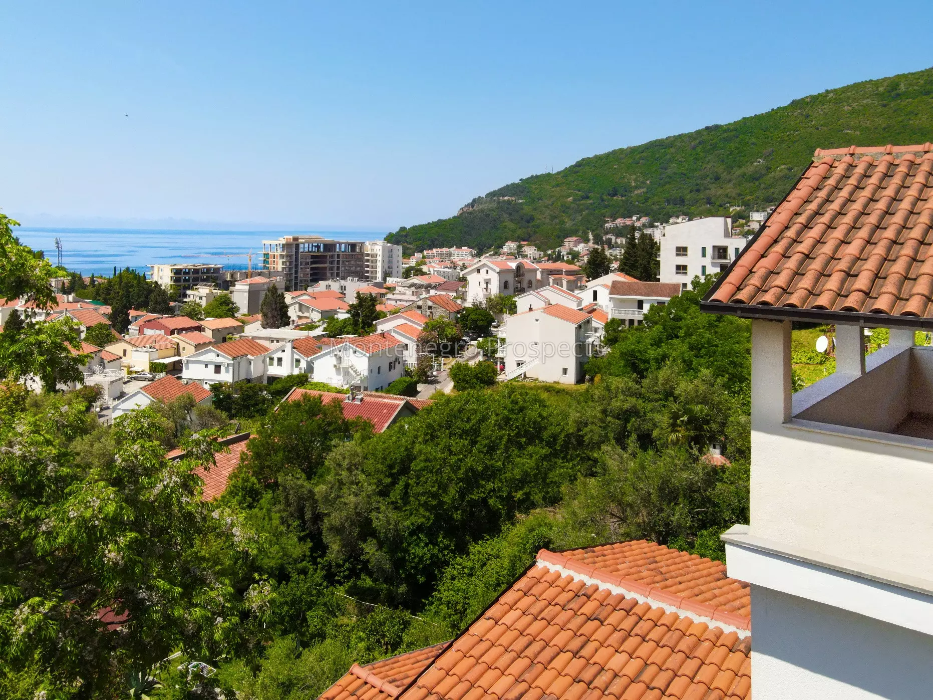 Petrovac   marko stojovic 12435 23 resized