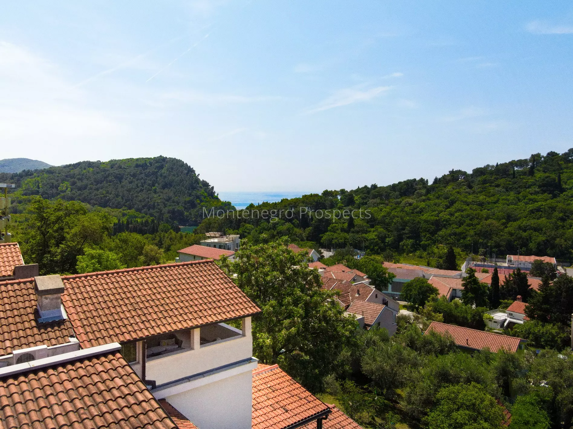 Petrovac   marko stojovic 12435 24 resized