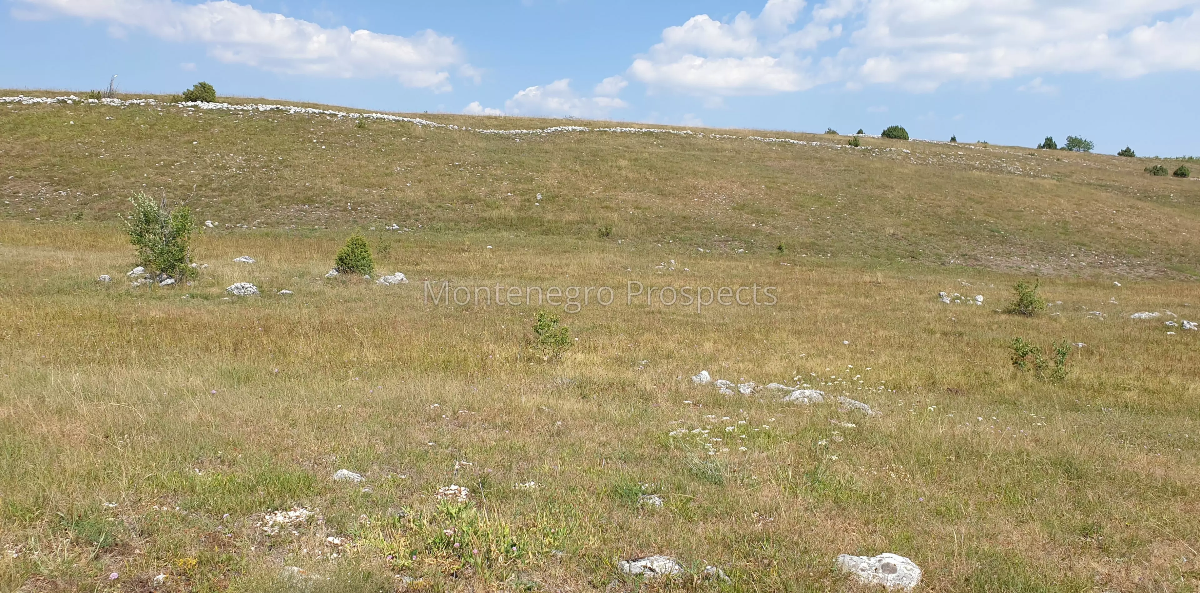 Zabljak borje ii tepacko polje 146714791481.jpg pogled s magistrale.pogled prema sjeveru