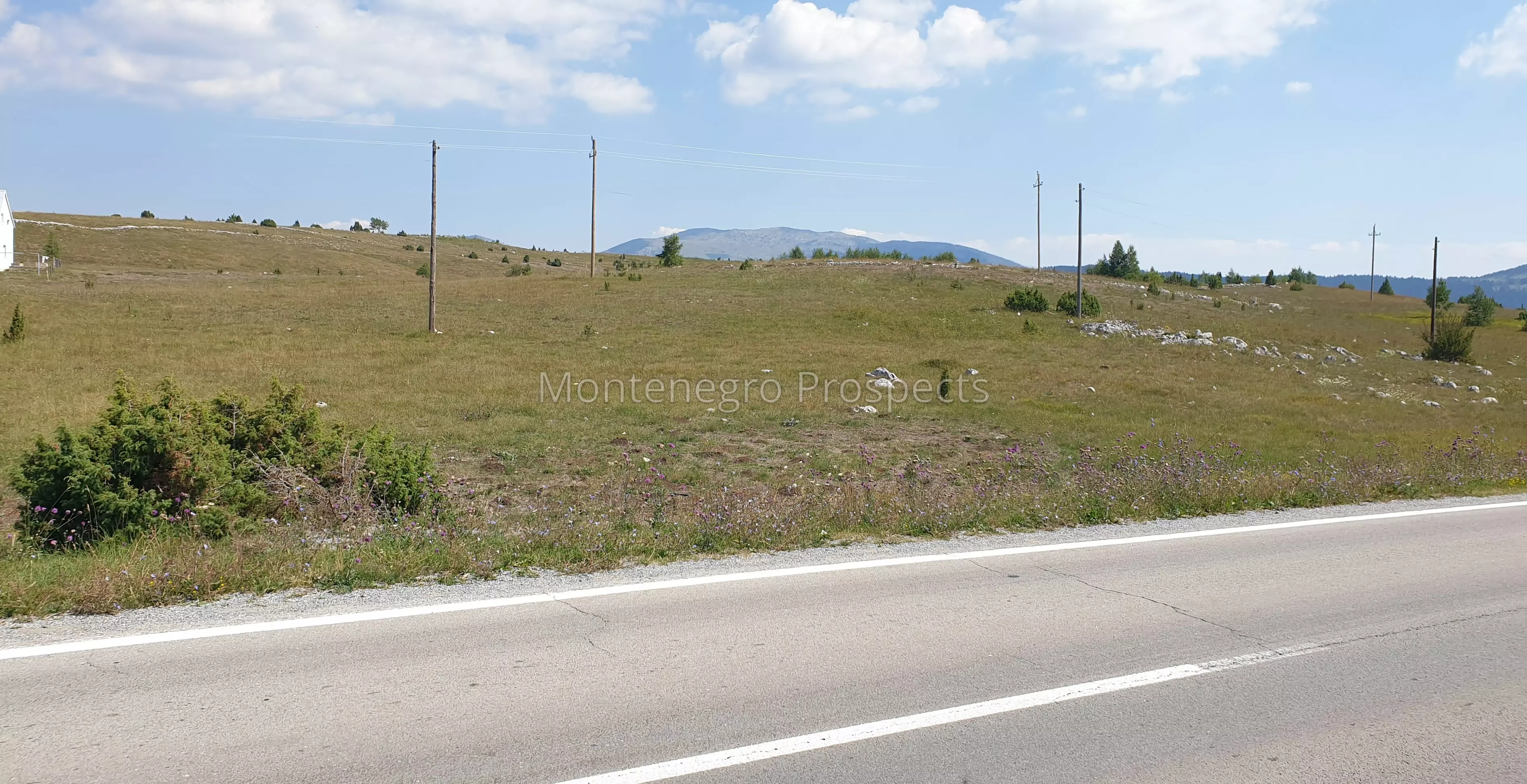 Zabljak borje ii tepacko polje 146714791481.jpg pogled s magistrale2