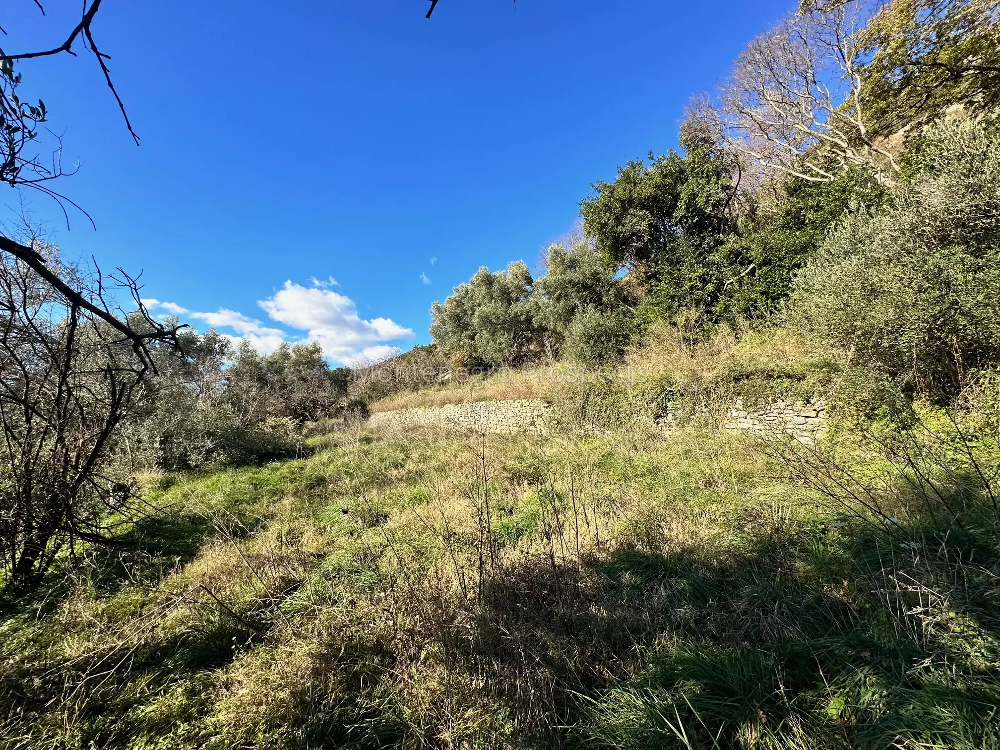 14144 plot in kumbor for sale 3