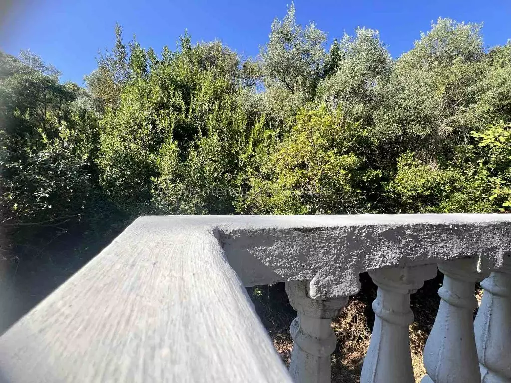 Two level house for sale surrounded by greenery in krasici lustica 13759 8