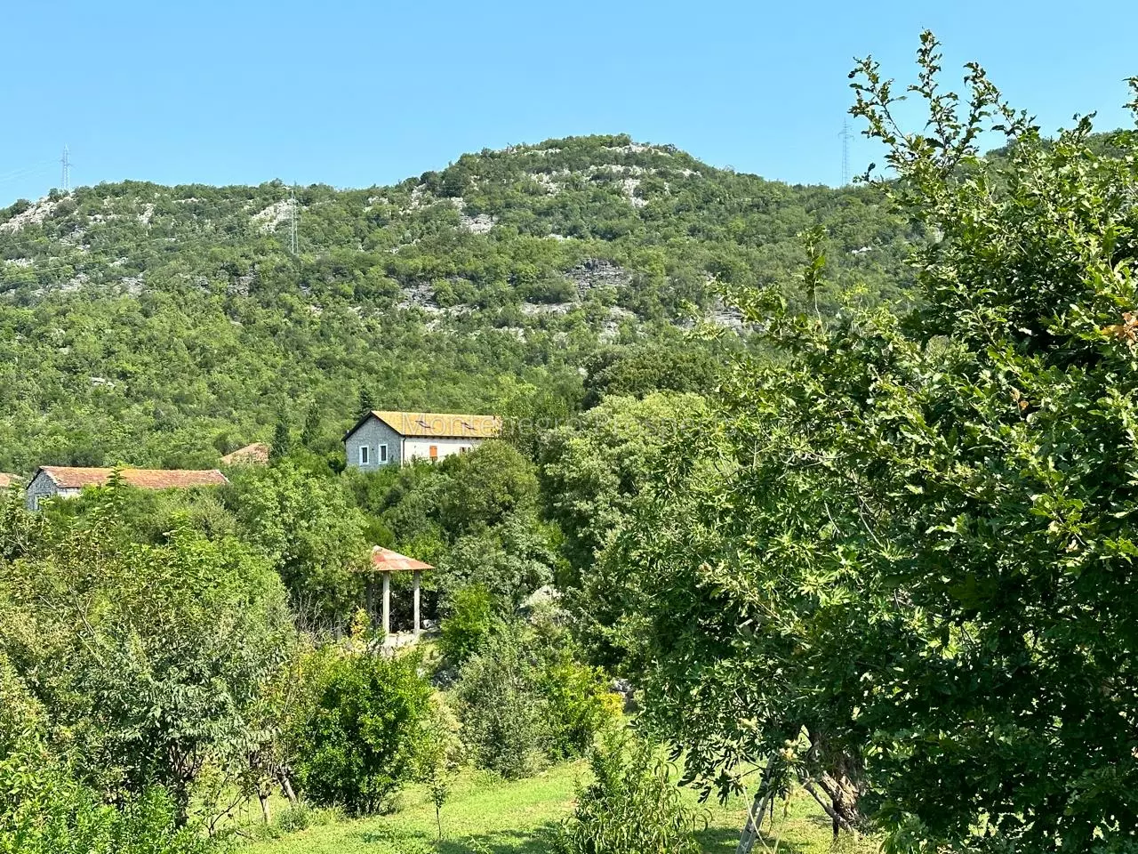14160 large estate near the lake skadar 129