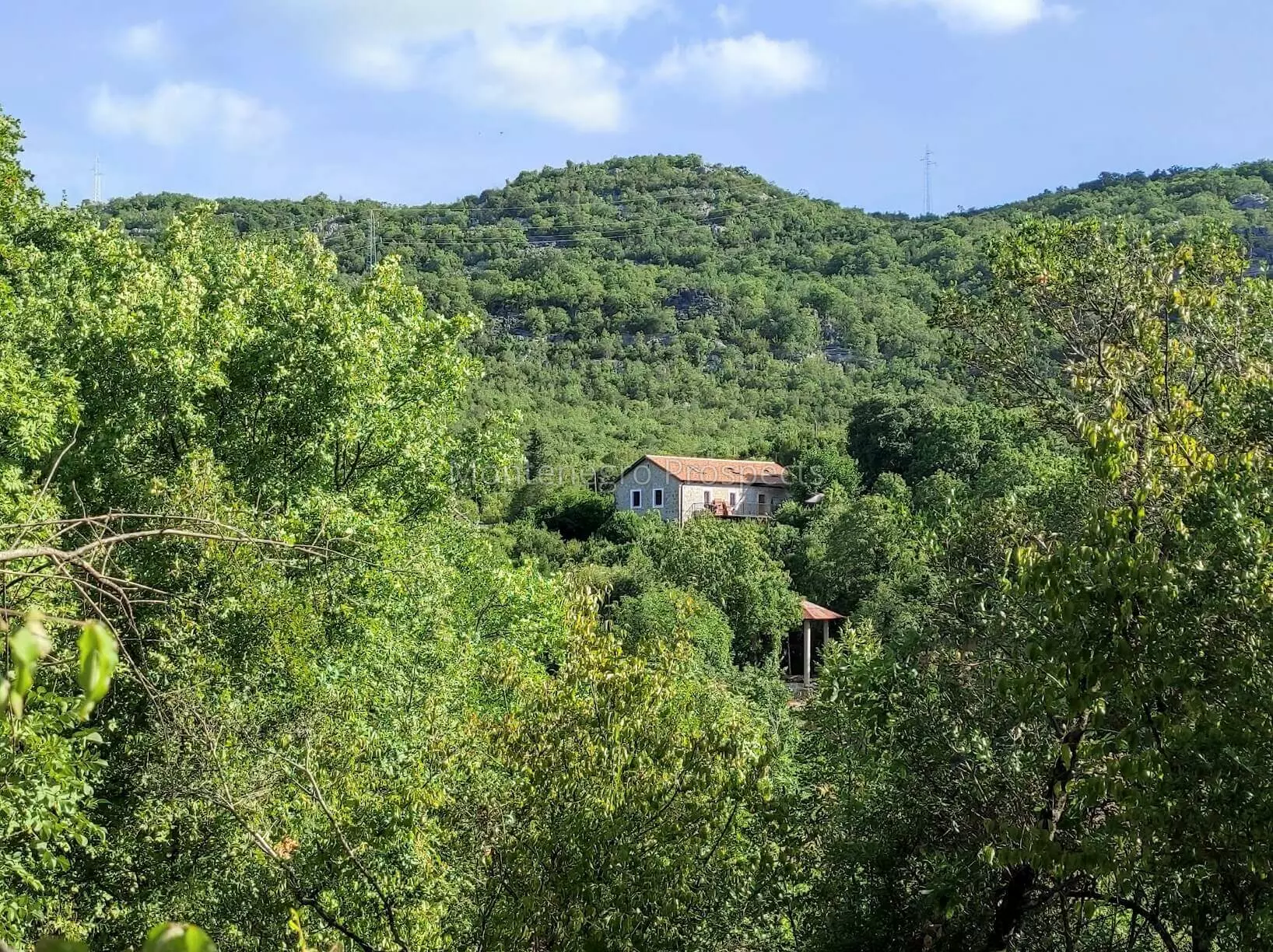 14160 large estate near the lake skadar 62