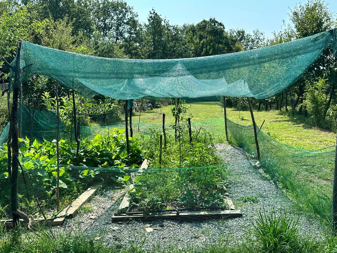 14160 large estate near the lake skadar 89