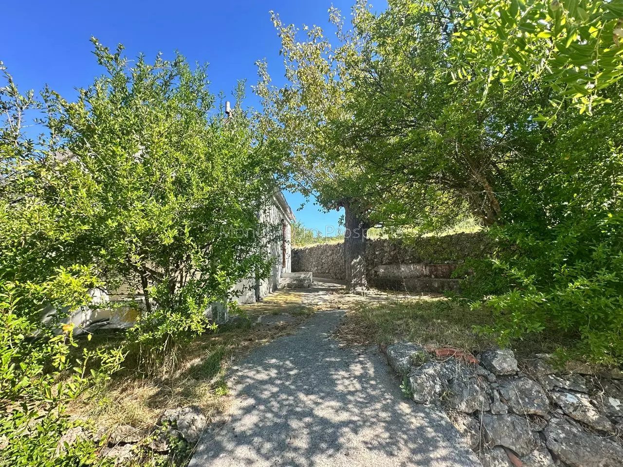 14170 boljevici kuca sa imanjem 10