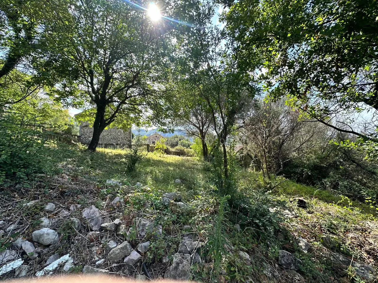 14173 plot in herceg novi 14