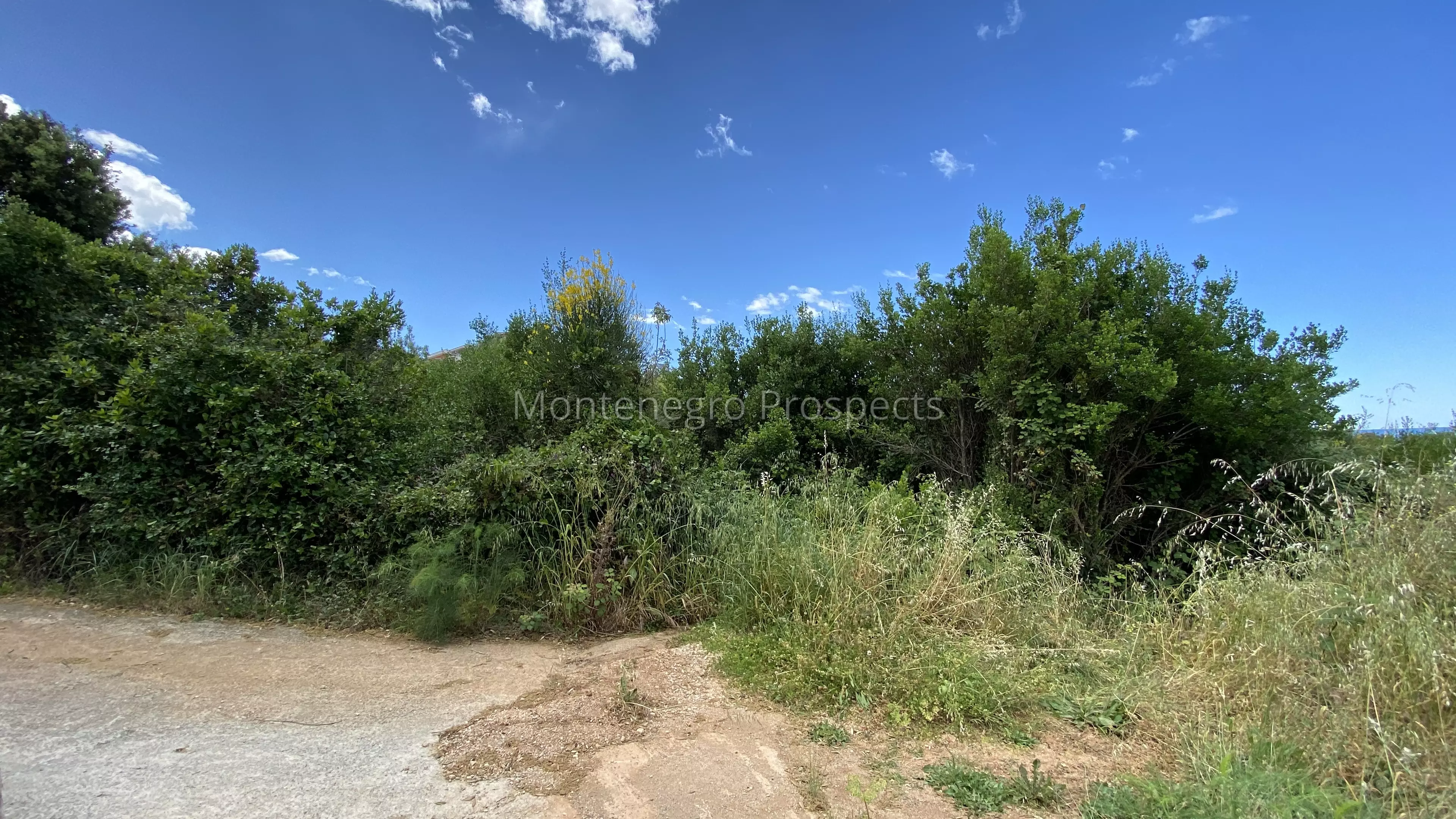 6840 sea front land 1