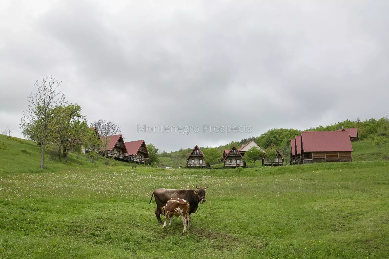 Ethno village 13848 1 1575x1050
