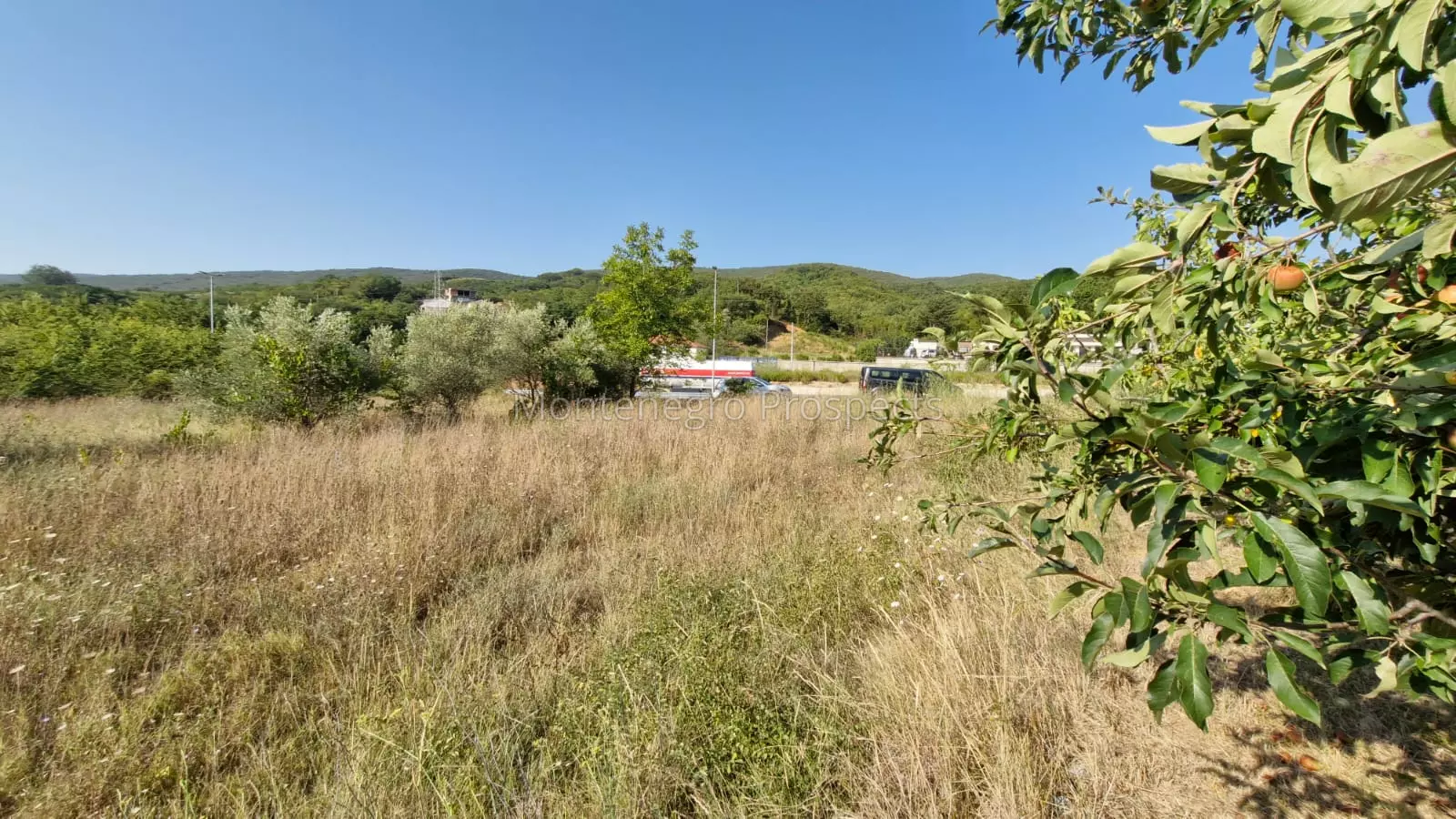 Land for sale kotor radanovici 1