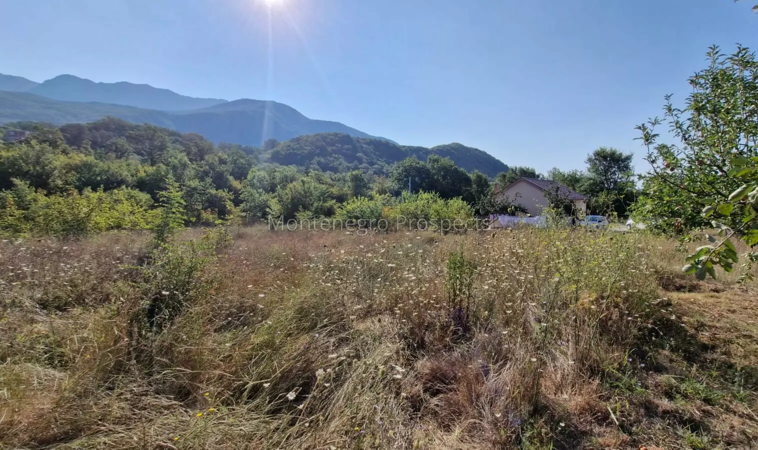 Land for sale kotor radanovici 2