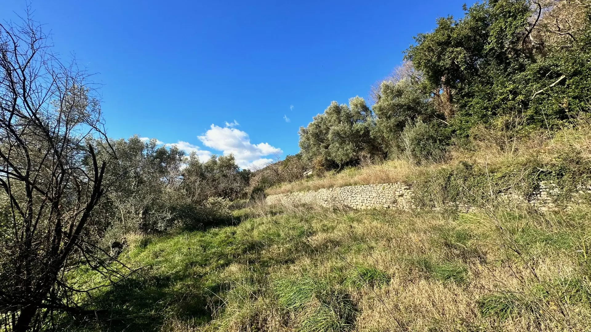 14145 plot in kumbor for sale 2