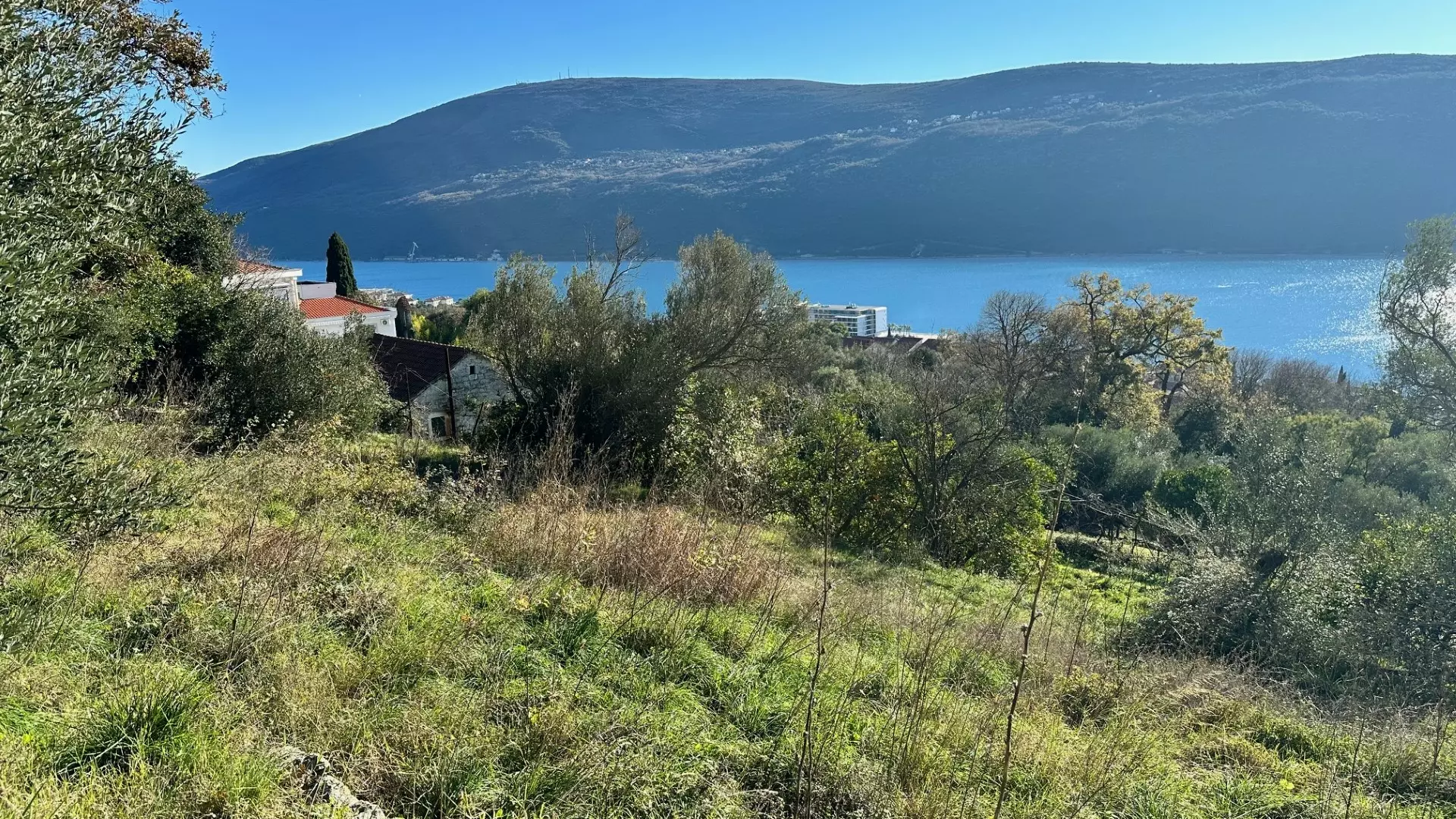 14145 plot in kumbor for sale 3