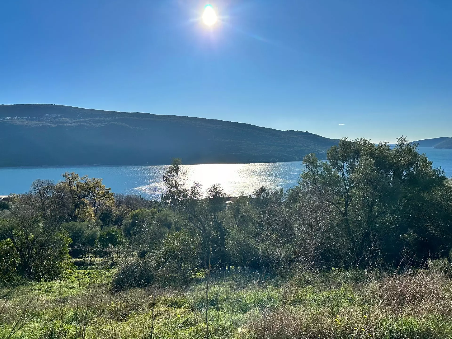 14145 plot in kumbor for sale 1